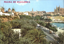 72230235 Mallorca Seeallee Dom Mallorca - Altri & Non Classificati