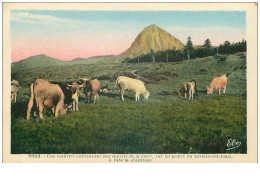 07.SUR LES PENTES DU GERBIER DES JONCS.n°20716.UNE VACHERIE S'ABREUVANT AUX SOURCES DE LA LOIRE - Autres & Non Classés