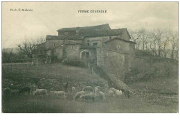 07 . N°36707. Ferme Cévenole - Other & Unclassified