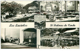 06.LES LUCIOLES.ST DALMAS DE TENDE.n°20000.CPSM - Other & Unclassified