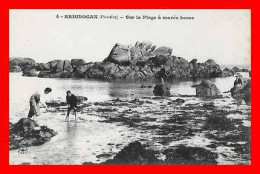 CPA (29)  BRIGNOGAN.  Sur La Plage à Marée Basse. *9007 - Brignogan-Plage