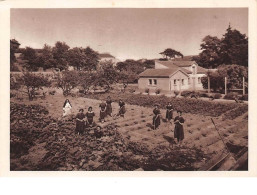 13. N° 200070 . MARSEILLE . MONASTERE DU REFUGE FERME PROVENCALE . CPSM . 14,5 X 10,5 - Zonder Classificatie