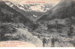 09 .n°109539 . Aulus Les Bains . Ane .chemin Du Col De Saleix . - Autres & Non Classés