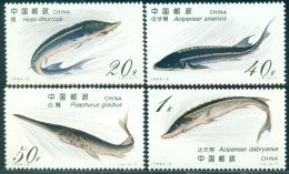 CHINA 1994 Sturgeon,kaluga,swordfish,extinct,Fish,endangered,M.2521,MNH - Poissons
