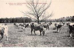 11 - CHEMINIERES - SAN31636 - Par Castelnaudary - Vaches Au Pâturage - Andere & Zonder Classificatie