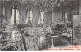 10 - BRIENNE LE CHATEAU - SAN41013 - Le Grand Salon Du Château - Autres & Non Classés