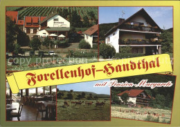 72229657 Handthal Schweinfurt Gasthaus Forellenhof Und Pension Margarete Gastrau - Other & Unclassified