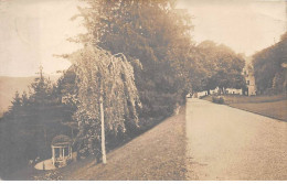 01 - N°83244 - PEYRIEU - Allée Du Château De Peyrieu - Carte Photo - Non Classés