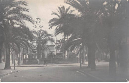 06 - N°83255 - NICE - Une Rue Bordée De Palmiers - Carte Photo - Autres & Non Classés