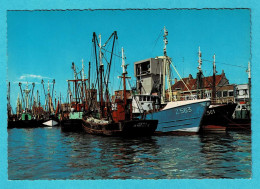 * Zeebrugge (Kust - Littoral) * (Kruger 1206/7) Visserssloepen, Bateaux De Peche, Fishing Boats, Quai, Old - Zeebrugge