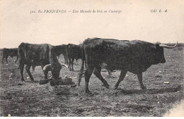 13 - CAMARGUE - SAN48652 - En Prouvenço - Uno Manado De Biou En Camargo - Autres & Non Classés