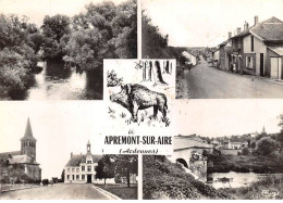 08 . N°kri10125 . Apremont-sur-aire. Multivue . N°c. Edition Combier . Cpsm 10X15 Cm . - Autres & Non Classés