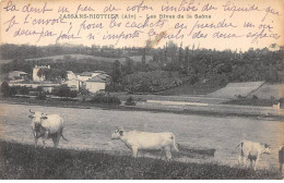 01 - JASSANS RIOTTIER - SAN57758 - Les Rives De La Saône - Agriculture - Zonder Classificatie