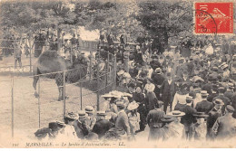 13 - MARSEILLE - SAN54937 - Le Jardin D'Acclimatation - Parques, Jardines