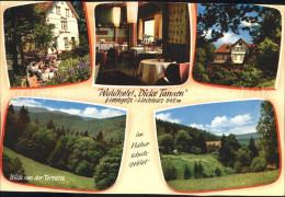 72229594 Hohegeiss Harz Waldhotel Dicke Tannen Gastraum Blick Von Der Terrasse H - Autres & Non Classés