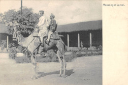 CPA INDE / MESSENGER CAMEL - Indien