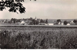 03. San67843. Boucé. Vue Générale. N°. Edition Combier. Cpsm 9X14 Cm. - Autres & Non Classés