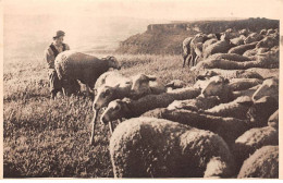 12 - ROQUEFORT - SAN65606 - La Traite à La Main - Agriculture - Roquefort