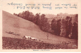 09 - RIMONT - SAN65181 - Site Rimontais - Agriculture - Sonstige & Ohne Zuordnung