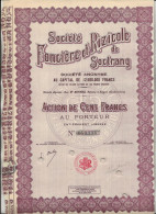 SOCIETE FONCIERE ET RIZICOLLE DE SOCTRANG - LOT DE 5 ACTIONS DE CENT FRANCS  1929 - Agricultura