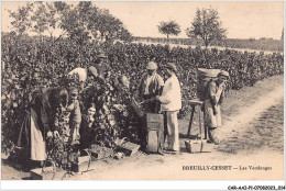 CAR-AAIP1-03-0008 - BREUILLY CESSET - Les Vendanges - Agriculture - Autres & Non Classés