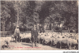 CAR-AAFP1-02-0074 - LA FERE - La Marché Aux Moutons - Fere En Tardenois
