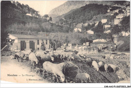 CAR-AACP1-06-0033 - MENTON - Le Paturage - Agriculture - Menton