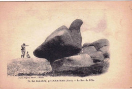 81 - Tarn -  CASTRES -  Le Sidobre - Le Roc De L Oie - Castres