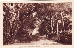 85 - Vendée -  VIEIL  De NOIRMOUTIER ( Noirmoutier-en-l'Île )  - Entrée Du Bois - Noirmoutier