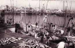 85 - Vendée - LES SABLES D OLONNE -  Le Port Débarquement Du Thon - Sables D'Olonne