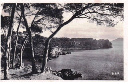 83 - Var -   TOULON -   Rocher De Sainte Marguerite - Toulon