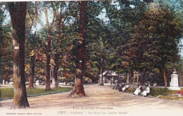 65 - Hautes Pyrénées - TARBES -  Un Coin Du Jardin Massé - Tarbes