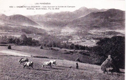 65 - Hautes Pyrenees -  BAGNERES  De BIGORRE - Vue Sur La Vallée De Campan , Monné Et Montaigu - Bagneres De Bigorre