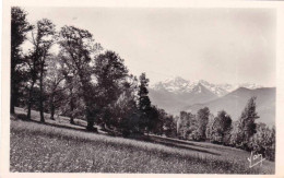 65 - Hautes Pyrenées -  BAGNERES De BIGORRE - Prairie Aux Calomieres - Bagneres De Bigorre