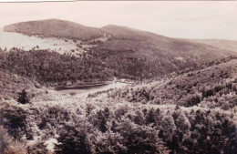 68 - Haut Rhin -  MARKSTEIN - Le Lac De La Lauch - Andere & Zonder Classificatie