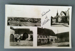 67 - LOHR - SOUVENIR DE LOHR (Commerces...Multivues...) - Otros & Sin Clasificación