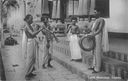 CPA CEYLON / TAMIL MUSICIANS / CEYLON - Sri Lanka (Ceilán)