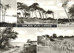 72227801 Darss Region Ostsee Kuestenansichten Darss Region Ostsee - Sonstige & Ohne Zuordnung