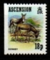 ASCENSION    -     ânes ** . - Donkeys