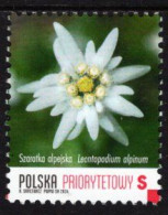 Poland - 2024 - Protected Plants - Edelweiss - Leontopodium Alpinum - Mint Definitive Stamp - Ongebruikt