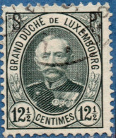 Luxemburg Service 1891 12½ C S.P. Overprint (perforated 12½*13) Cancelled - Dienstmarken