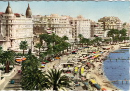 CANNES - Les Hôtels - La Croisette Et La Plage - Cannes