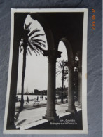 ECHAPEE SUR LA CROISETTE - Cannes