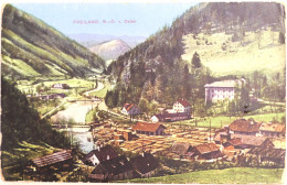 C. P. A. : Autriche : Styrie : FREILAND, N-Ö. V. : Osten, In 1918 - Autres & Non Classés
