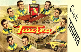 PHOTO CYCLISME REENFORCE GRAND QUALITÉ ( NO CARTE ) GROUPE TEAM TAUREA 1950 - Cycling