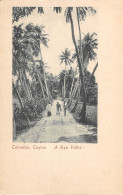 CPA CEYLON / COLOMBO / A BYE PATHS / CEYLON - Sri Lanka (Ceylon)