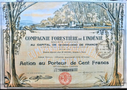 Compagnie Forestière De L'Indénié - 1938 - Côte D'Ivoire - Grand Bassam - Zeer Decoratief ! - Landbouw