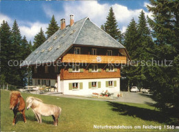 72226828 Feldberg Schwarzwald Naturfreundehaus Pony  Feldberg - Feldberg