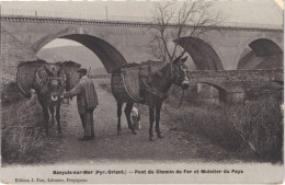 FR66 BANYULS SUR MER - Fau émail - Pont De Chemin De Fer Et Muletier Du Pays - Animée - Belle - Banyuls Sur Mer