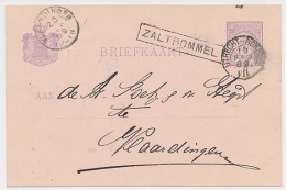 Trein Haltestempel Zaltbommel 1889 - Storia Postale